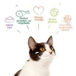 8x Yarrah Bio Kattenvoer Multipack Paté Graanvrij Zalm - Zeewier 7 8x Yarrah Bio Kattenvoer Multipack Paté Graanvrij Zalm - Zeewier -Exporteren Dieren Vreugd Winkel 1003008 4