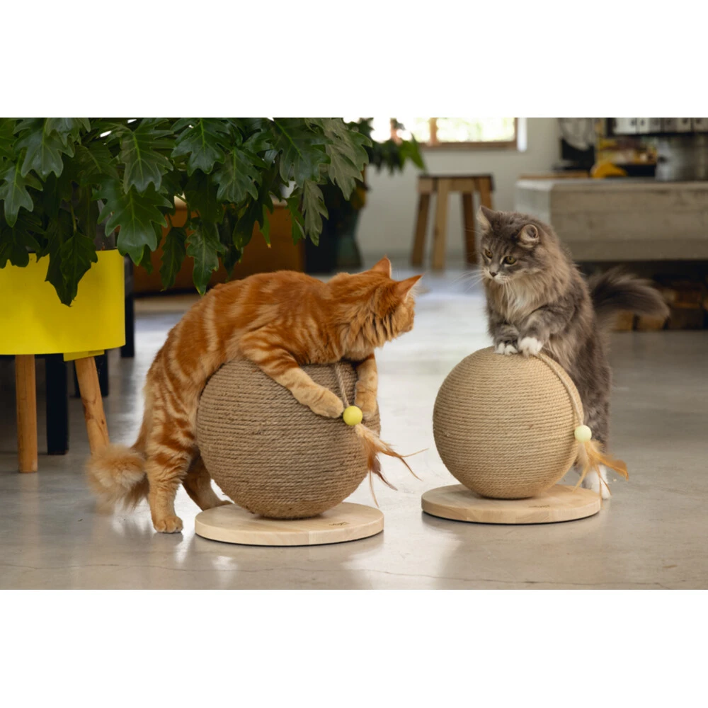 Designed By Lotte Krabbol Balty XL 6 Designed By Lotte Krabbol Balty XL - Afbeelding 6