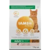 Iams Kat Adult Zalm