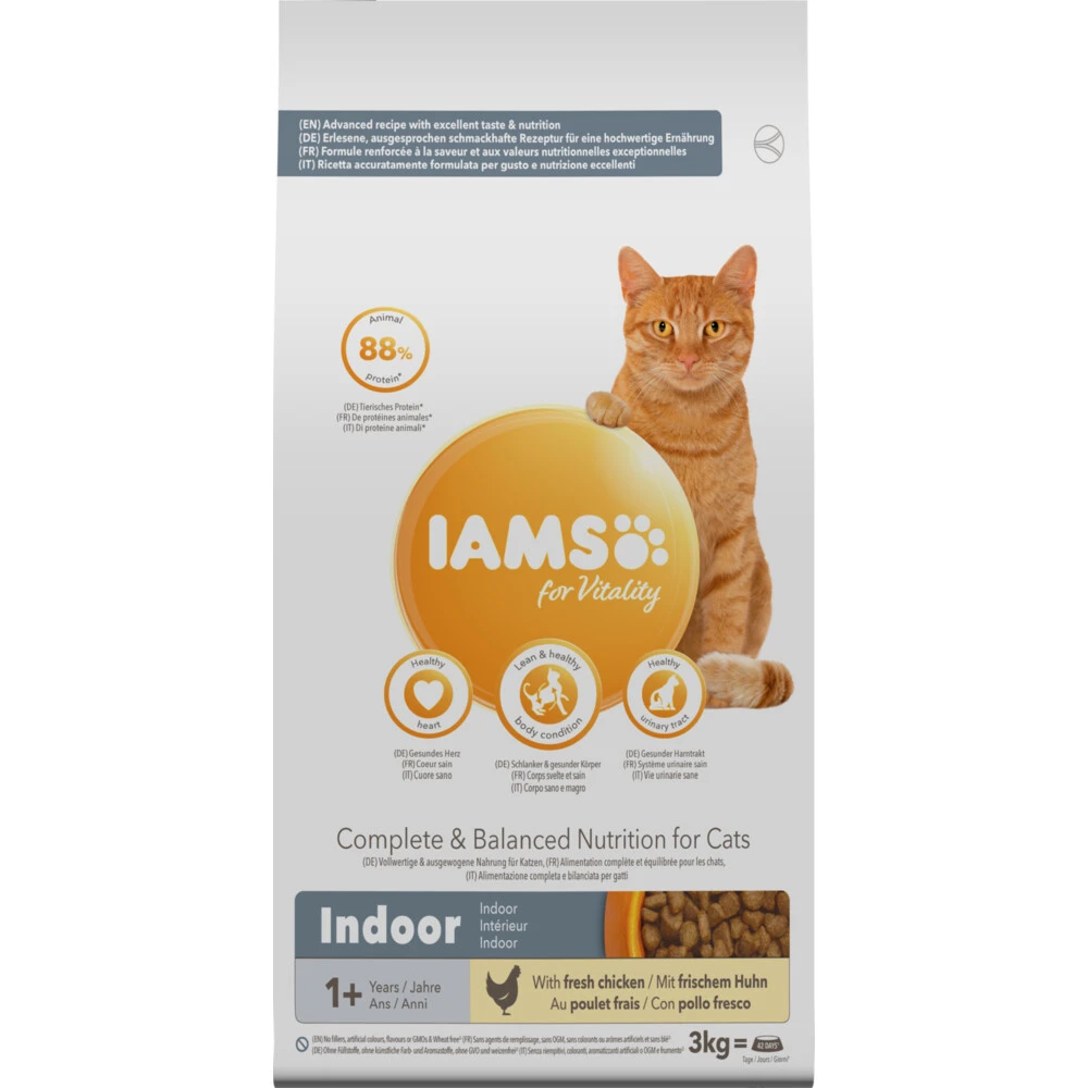 Iams Kat Adult Indoor Kip 1 Iams Kat Adult Indoor Kip