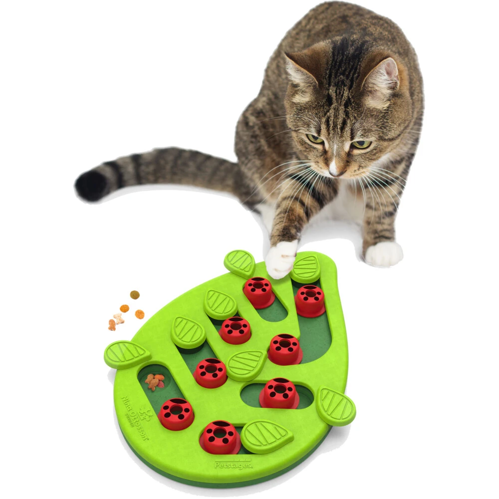 Nina Ottosson Kattenspel Puzzle & Play Buggin Out 4 Nina Ottosson Kattenspel Puzzle & Play Buggin Out - Afbeelding 4