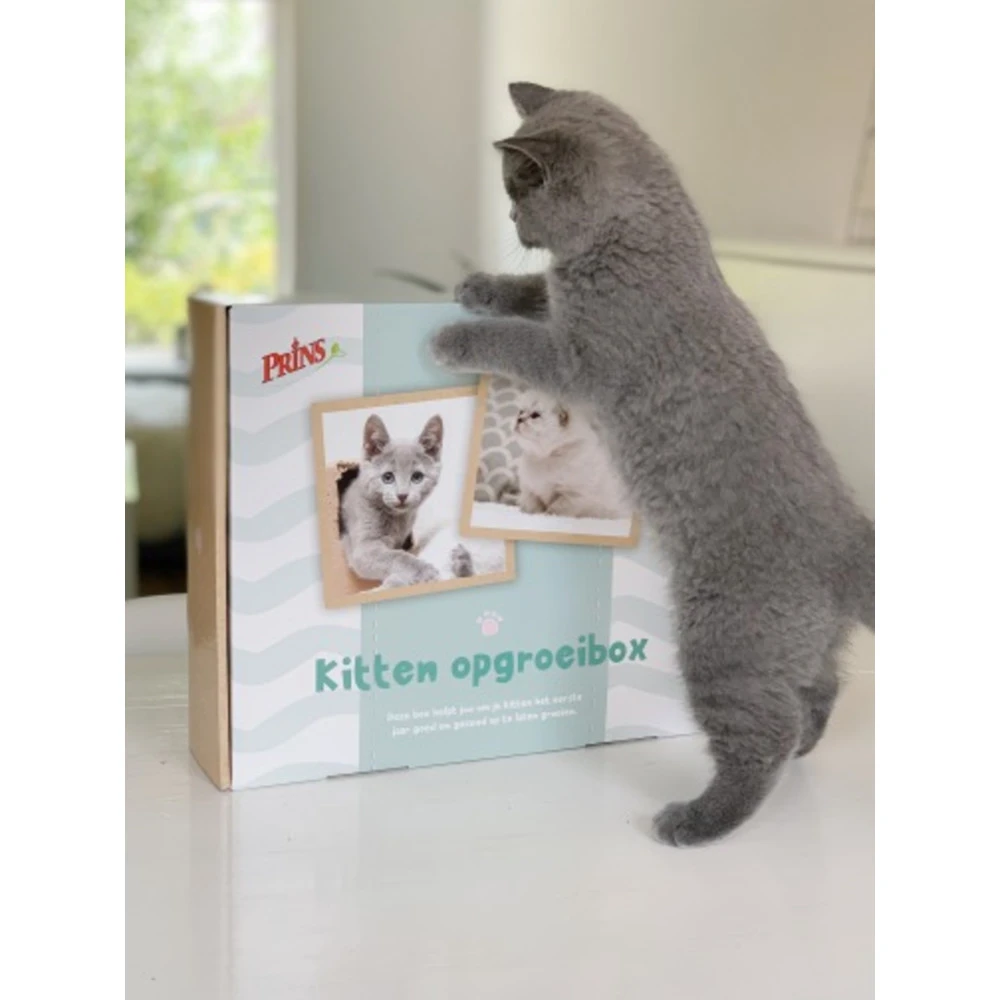 Prins Opgroeibox VitalCare Protection Kitten 2 Prins Opgroeibox VitalCare Protection Kitten - Afbeelding 2
