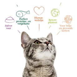 Yarrah Bio Kattenvoer Adult Kip 7 Yarrah Bio Kattenvoer Adult Kip -Exporteren Dieren Vreugd Winkel 1020516 4