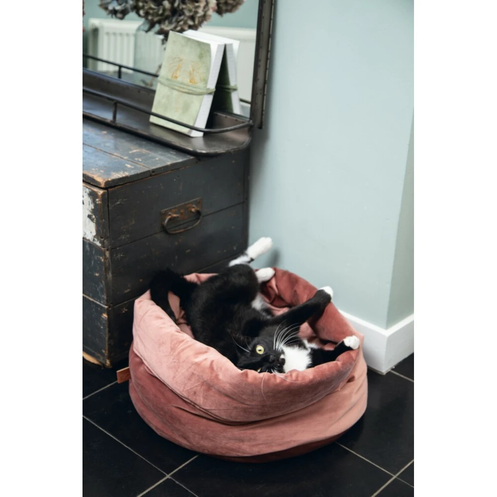 Designed By Lotte Kattenmand Fluweel Fluco Roze 2 Designed By Lotte Kattenmand Fluweel Fluco Roze - Afbeelding 2