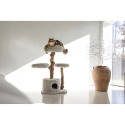 Designed By Lotte Krabmeubel Hout Ziza -Exporteren Dieren Vreugd Winkel 1031638 3