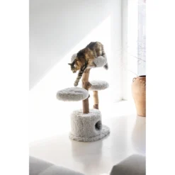 Designed By Lotte Krabmeubel Hout Ziza -Exporteren Dieren Vreugd Winkel 1031638 4