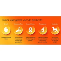 Fokker Cat Steri-Fit Skin & Coat -Exporteren Dieren Vreugd Winkel 1034670 4