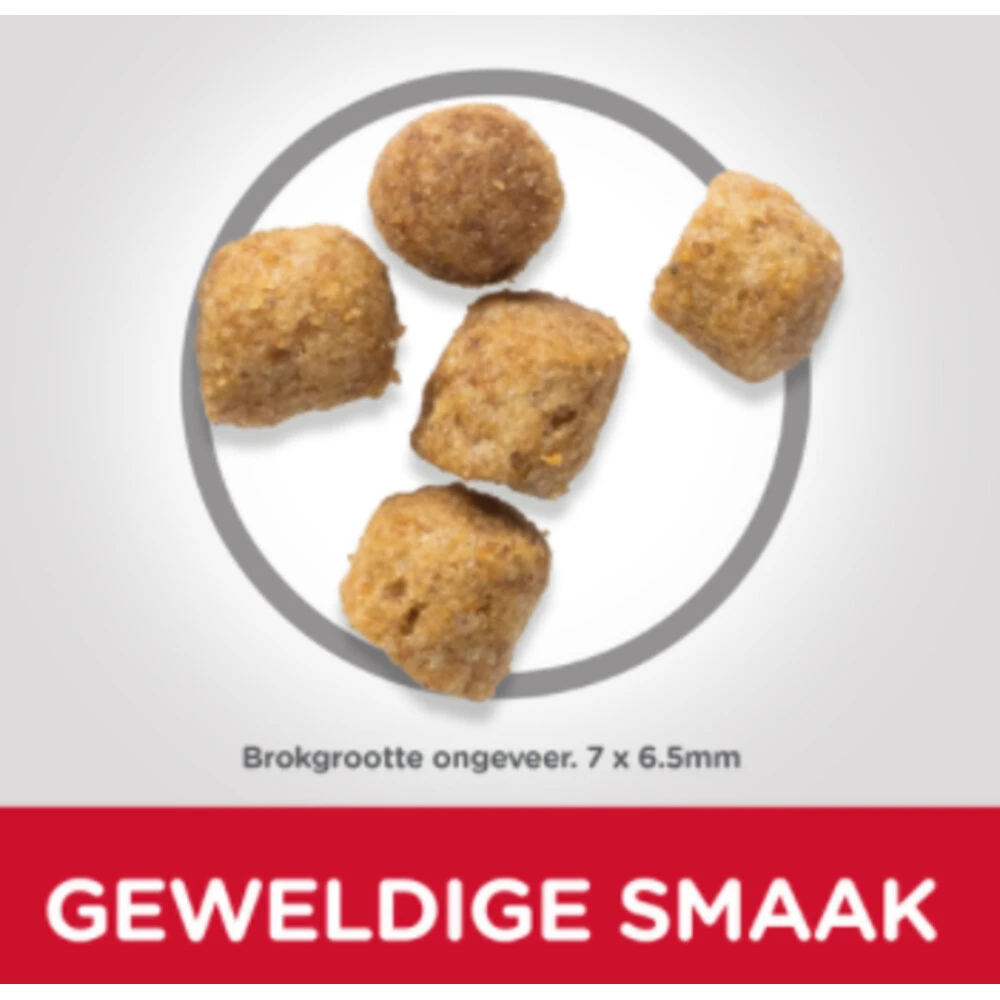 Hill's Hillu0027s Science Plan Kattenvoer Mature Adult Sterilised Kip 2 Hill's Hillu0027s Science Plan Kattenvoer Mature Adult Sterilised Kip - Afbeelding 2