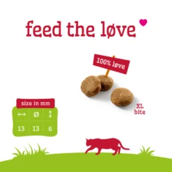 Smolke Kattenvoer Adult Lam -Exporteren Dieren Vreugd Winkel 1040262 3