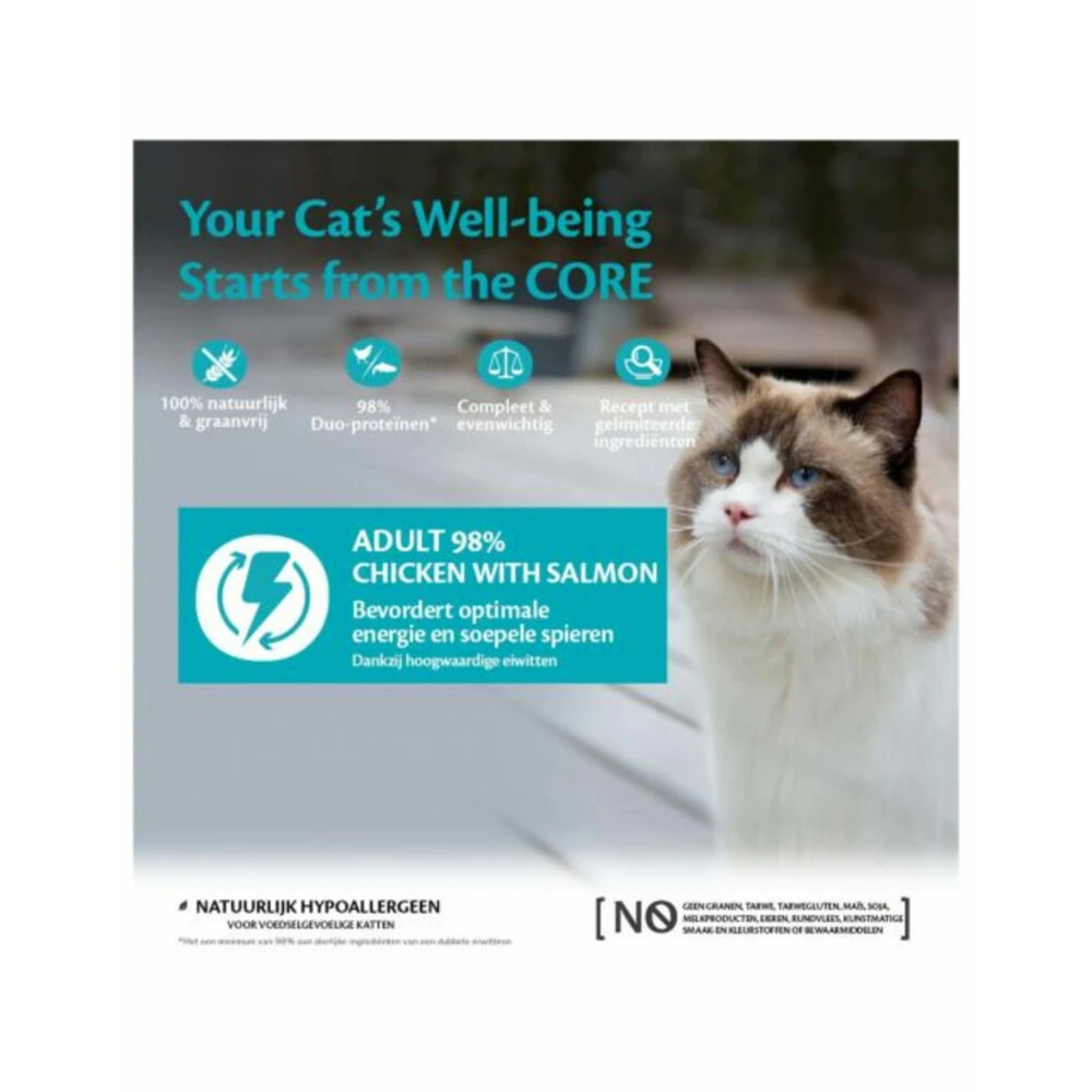 12x Wellness Core Kattenvoer 98% Recipe Kip - Zalm 2 12x Wellness Core Kattenvoer 98% Recipe Kip - Zalm - Afbeelding 2