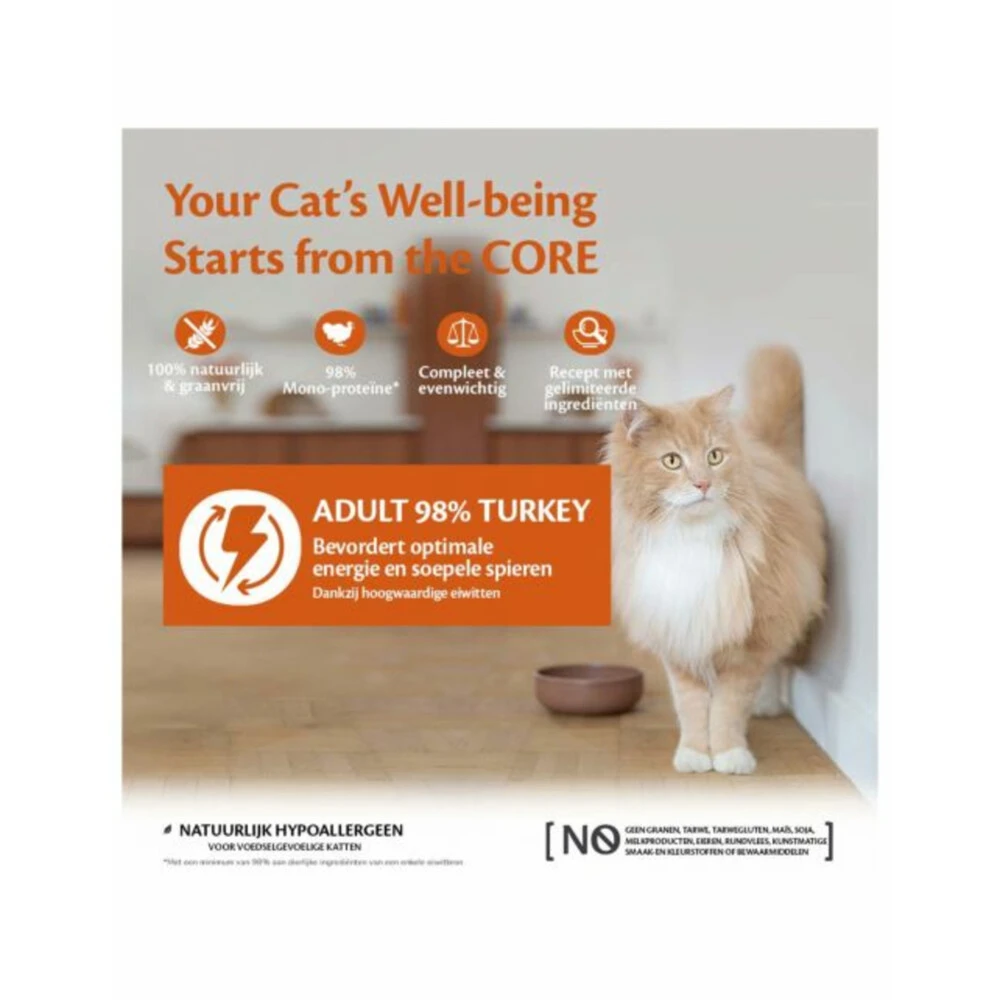 12x Wellness Core Kattenvoer 98% Recipe Kalkoen 2 12x Wellness Core Kattenvoer 98% Recipe Kalkoen - Afbeelding 2