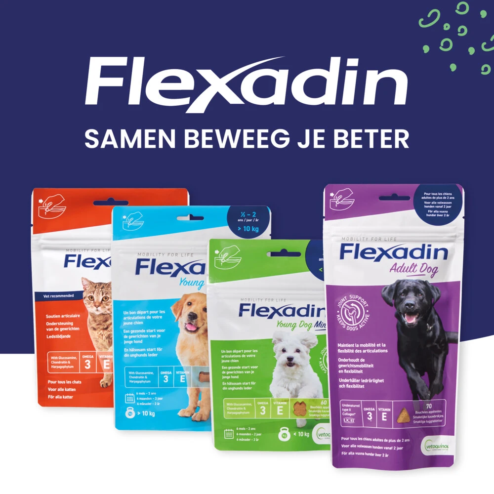 Flexadin Cat Kauwbrokjes 3 Flexadin Cat Kauwbrokjes - Afbeelding 3