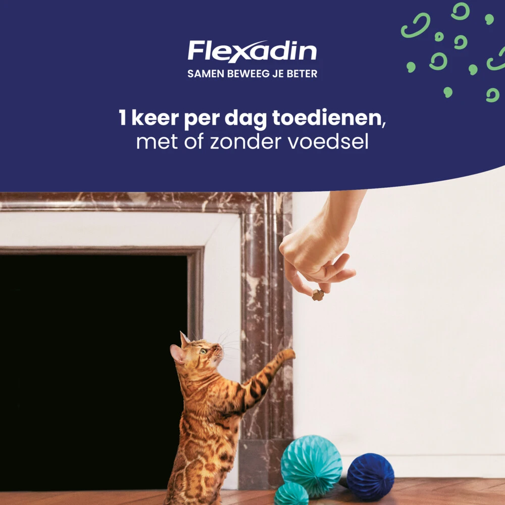 Flexadin Cat Kauwbrokjes 4 Flexadin Cat Kauwbrokjes - Afbeelding 4