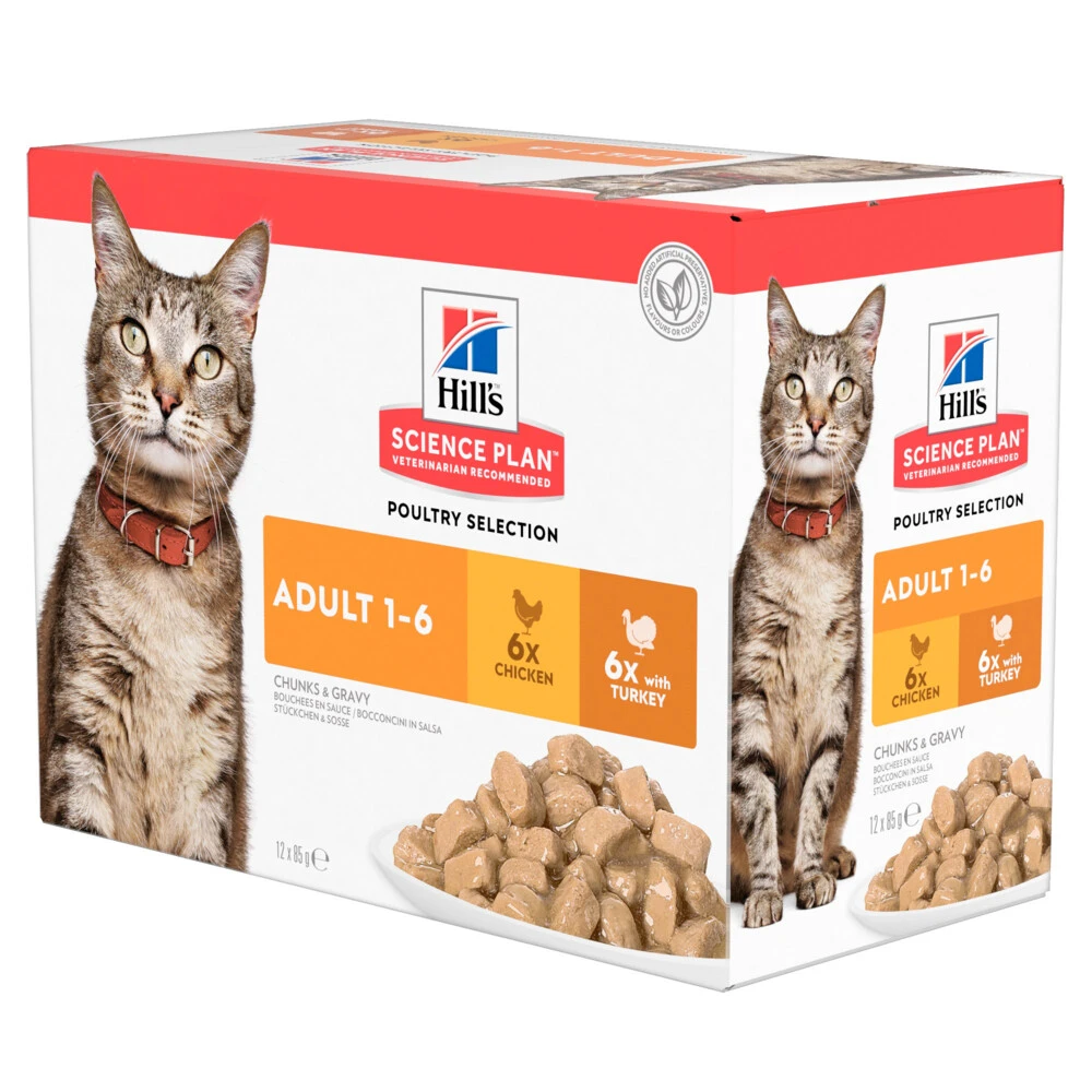Hill's Hillu0027s Science Plan Kattenvoer Adult Multipack Kip & Kalkoen 1 Hill's Hillu0027s Science Plan Kattenvoer Adult Multipack Kip & Kalkoen