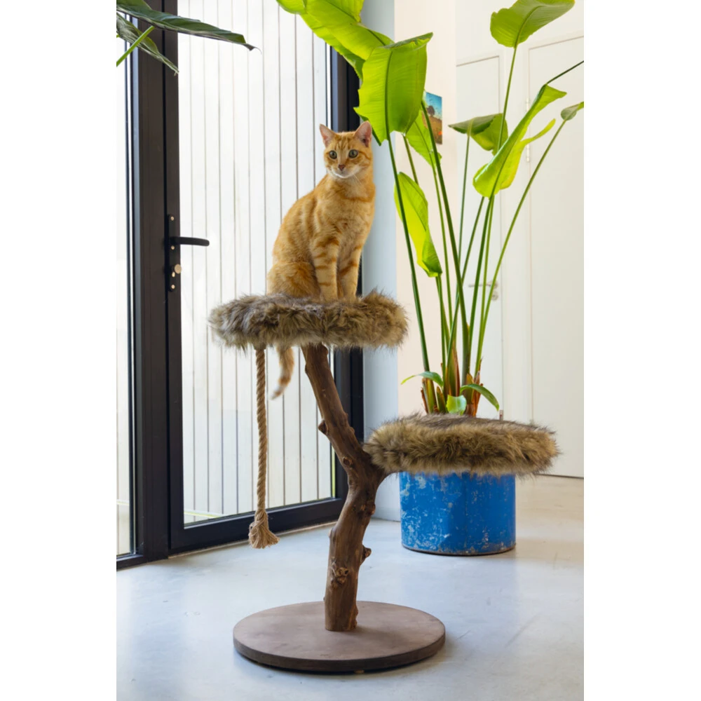 Designed By Lotte Krabmeubel Hout Aviva 3 Designed By Lotte Krabmeubel Hout Aviva - Afbeelding 3