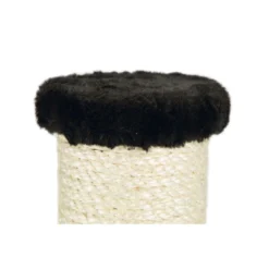 Beeztees Krabpaal Gina Zwart 5 Beeztees Krabpaal Gina Zwart -Exporteren Dieren Vreugd Winkel 1070261 3