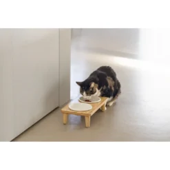 Designed By Lotte Dinerset Kat Hout Djeha 9 Designed By Lotte Dinerset Kat Hout Djeha -Exporteren Dieren Vreugd Winkel 1070414 5