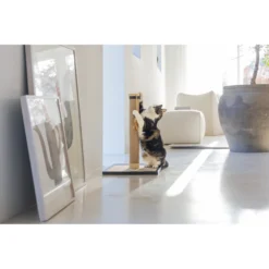 Designed By Lotte Krabpaal Vyda -Exporteren Dieren Vreugd Winkel 1070430 6