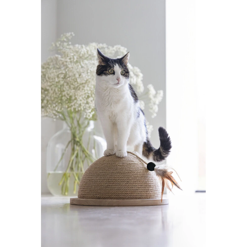 Designed By Lotte Halve Krabbol Hout Vivi 4 Designed By Lotte Halve Krabbol Hout Vivi - Afbeelding 4