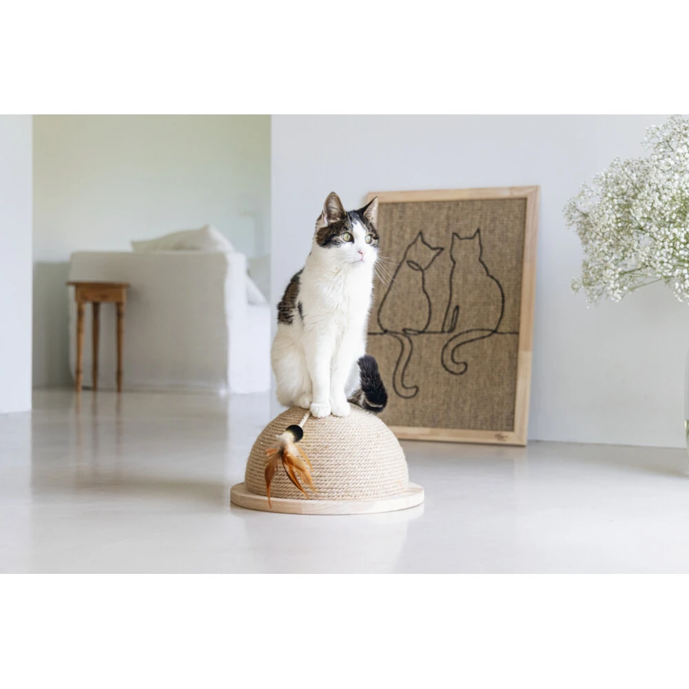 Designed By Lotte Halve Krabbol Hout Vivi 5 Designed By Lotte Halve Krabbol Hout Vivi - Afbeelding 5