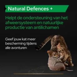 Pro Plan Supplement Poeder Voor Katten Natural Defence 9 Pro Plan Supplement Poeder Voor Katten Natural Defence -Exporteren Dieren Vreugd Winkel 1073848 4