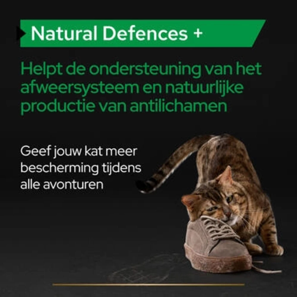 Pro Plan Supplement Poeder Voor Katten Natural Defence 4 Pro Plan Supplement Poeder Voor Katten Natural Defence - Afbeelding 4