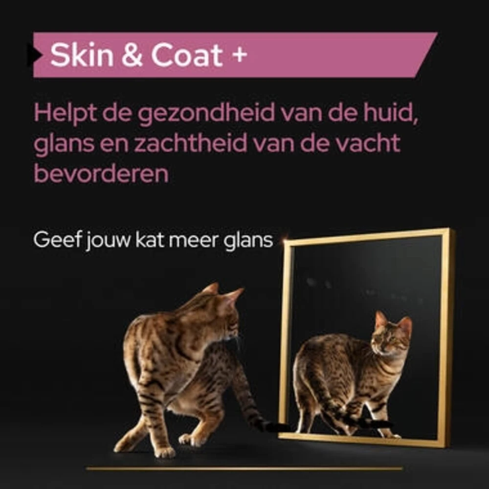 Pro Plan Supplement Olie Voor Katten Skin & Coat 4 Pro Plan Supplement Olie Voor Katten Skin & Coat - Afbeelding 4
