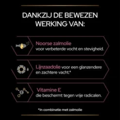 Pro Plan Supplement Olie Voor Katten Skin & Coat 11 Pro Plan Supplement Olie Voor Katten Skin & Coat -Exporteren Dieren Vreugd Winkel 1073849 6