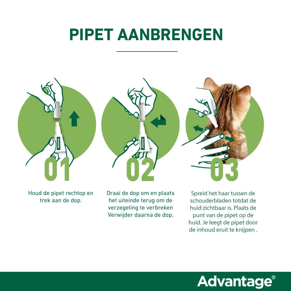 Advantage Anti Vlooiendruppels Kat Tot 4 Kg 4 Advantage Anti Vlooiendruppels Kat Tot 4 Kg - Afbeelding 4