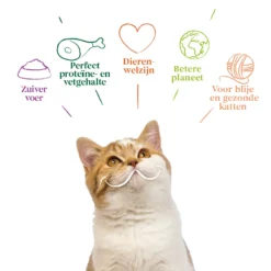 16x Yarrah Bio Kattenvoer Chunks Kip - Kalkoen -Exporteren Dieren Vreugd Winkel 704645 4