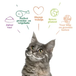 16x Yarrah Bio Kattenvoer Chunks Vis -Exporteren Dieren Vreugd Winkel 704646 4