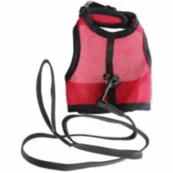 Beeztees Kattentuigje Comfort