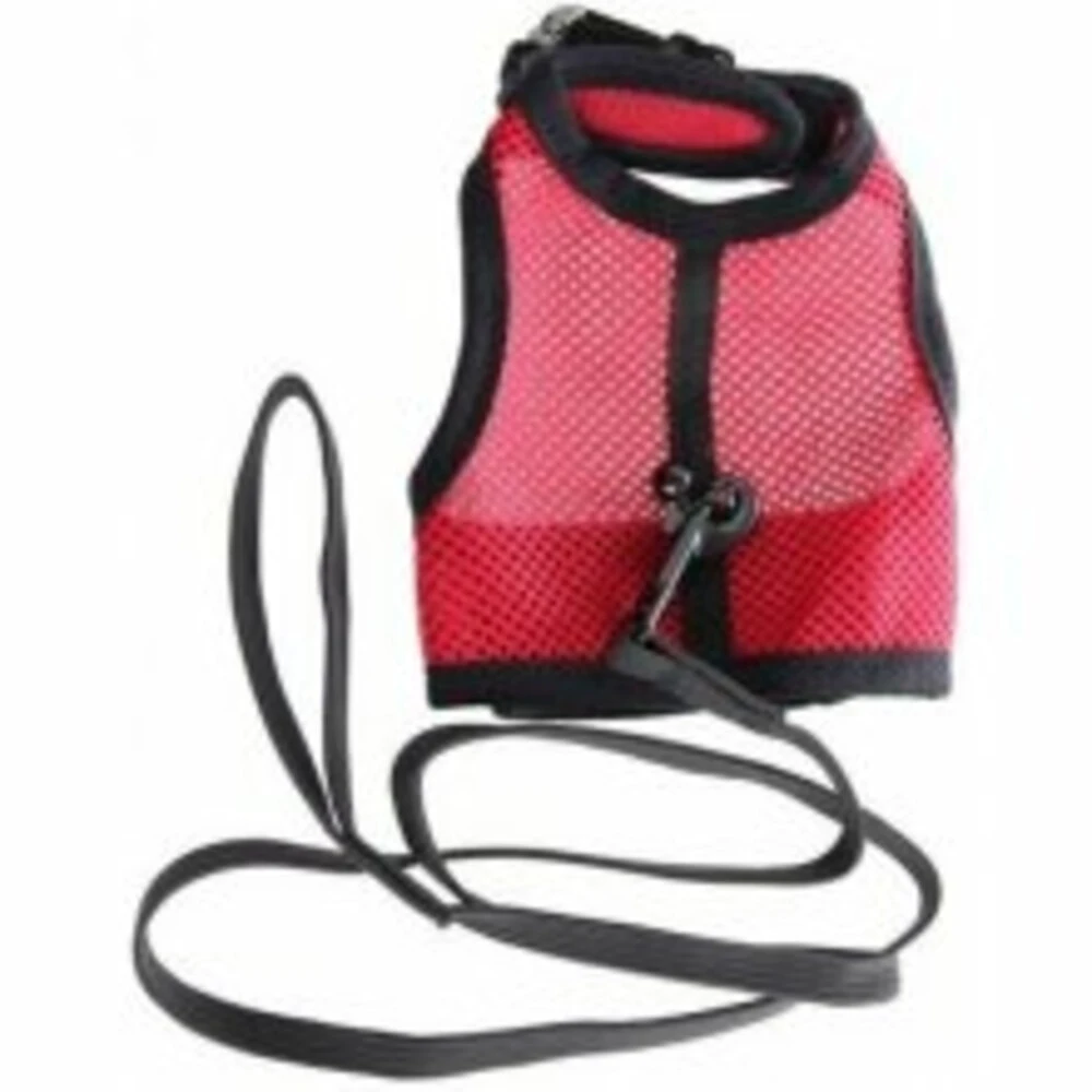 Beeztees Kattentuigje Comfort 1 Beeztees Kattentuigje Comfort