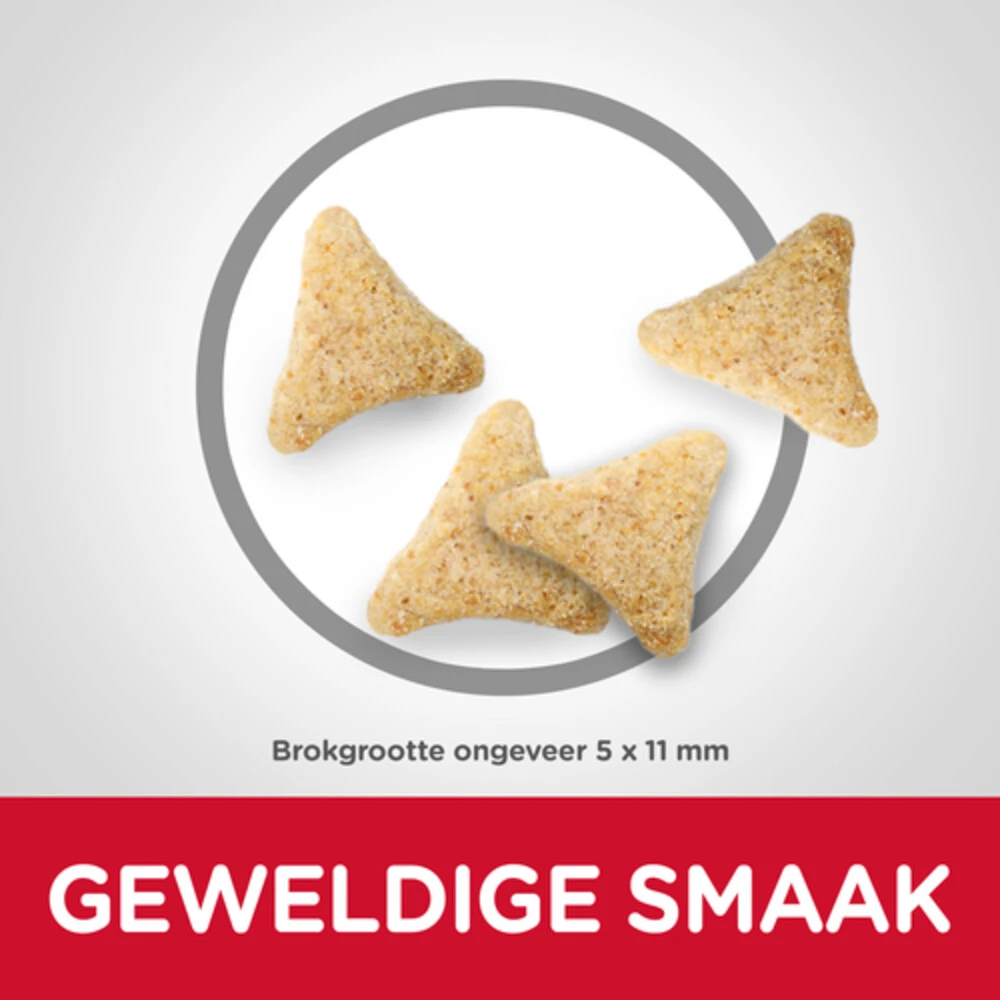 Hill's Hillu0027s Science Plan Kattenvoer Adult Hairball Indoor Kip 3 Hill's Hillu0027s Science Plan Kattenvoer Adult Hairball Indoor Kip - Afbeelding 3