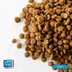 CaroCroc Kitten 33/19 Kattenvoer 7 CaroCroc Kitten 33/19 Kattenvoer -Exporteren Dieren Vreugd Winkel 876649 4