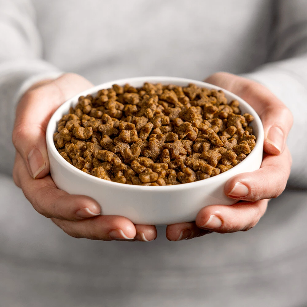 Smolke Kattenvoer Adult Kip 2 Smolke Kattenvoer Adult Kip - Afbeelding 2