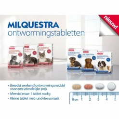 Beaphar Milquestra Ontworming Tabletten Kat 2 - 12 Kg 6 Beaphar Milquestra Ontworming Tabletten Kat 2 - 12 Kg -Exporteren Dieren Vreugd Winkel 975813 3