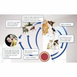 Beaphar Milquestra Ontworming Tabletten Kat 2 - 12 Kg 7 Beaphar Milquestra Ontworming Tabletten Kat 2 - 12 Kg -Exporteren Dieren Vreugd Winkel 975813 4