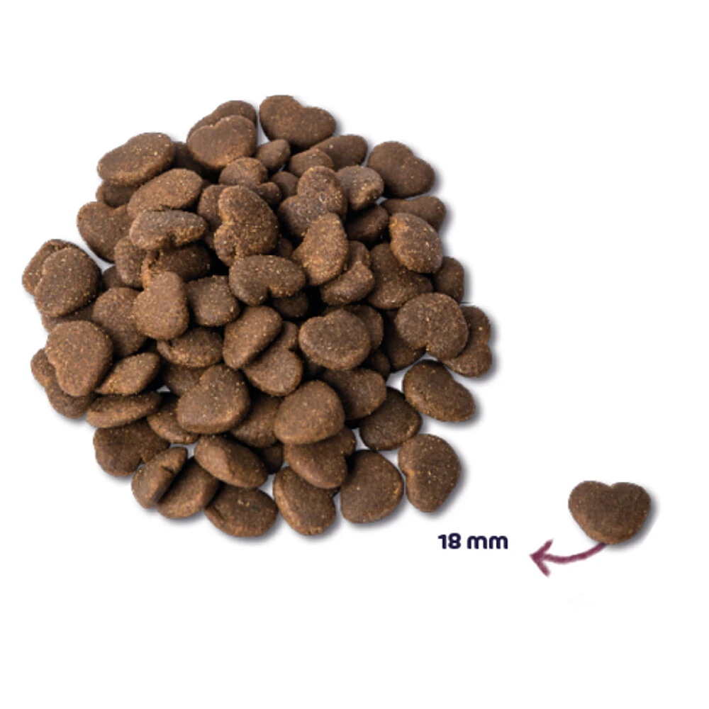 Renske Super Premium Kat Adult Maxi Oceaanvis & Zalm 2 Renske Super Premium Kat Adult Maxi Oceaanvis & Zalm - Afbeelding 2