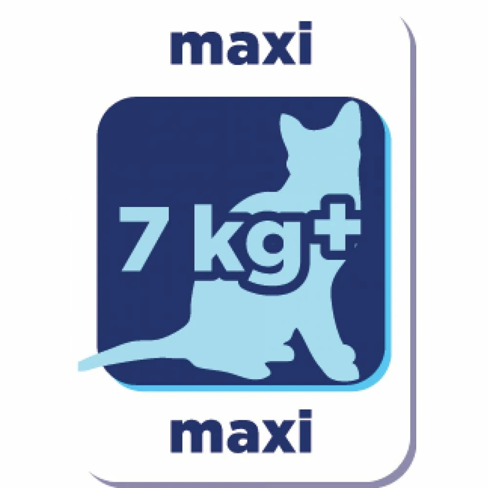 8x Renske Super Premium Droog Kat Adult Maxi Oceaanvis & Zalm 2 8x Renske Super Premium Droog Kat Adult Maxi Oceaanvis & Zalm - Afbeelding 2