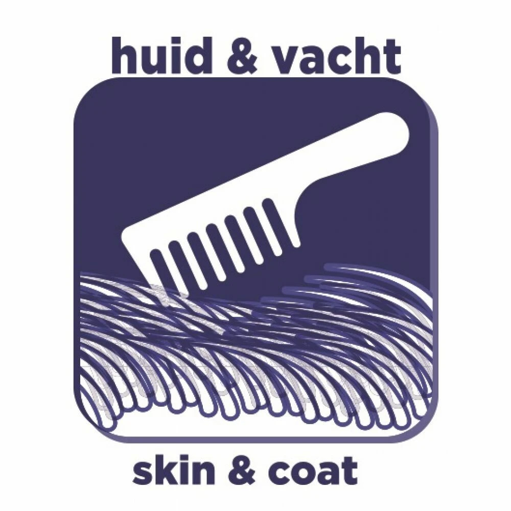 8x Renske Super Premium Droog Kat Adult Maxi Oceaanvis & Zalm 4 8x Renske Super Premium Droog Kat Adult Maxi Oceaanvis & Zalm - Afbeelding 4