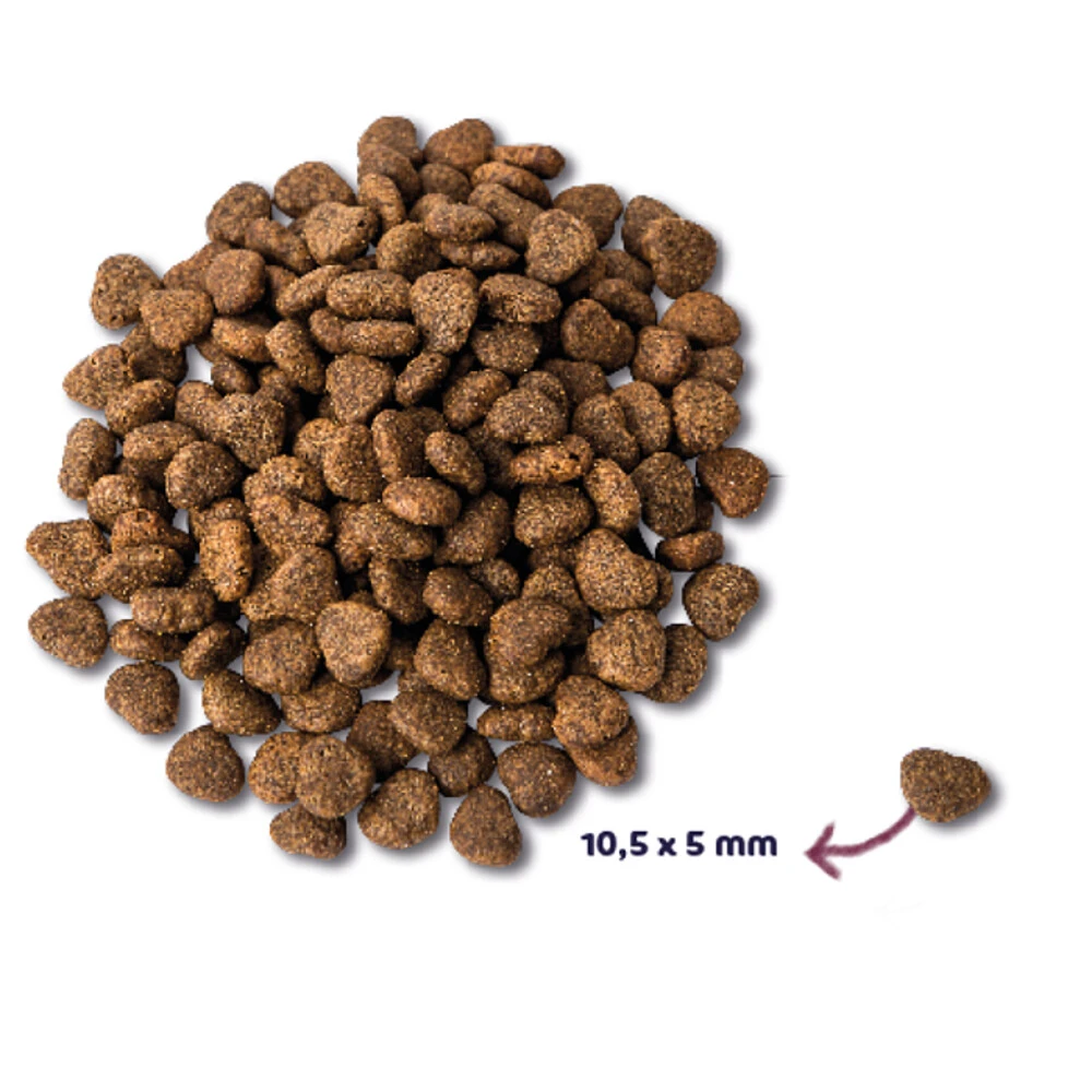 Renske Super Premium Kat Adult Kip 2 Renske Super Premium Kat Adult Kip - Afbeelding 2