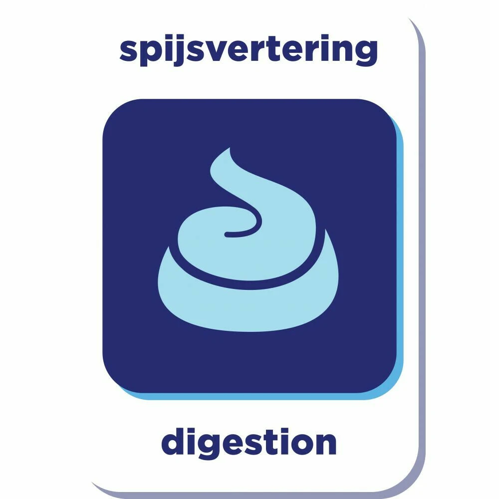 Renske Super Premium Kat Adult Kip 3 Renske Super Premium Kat Adult Kip - Afbeelding 3