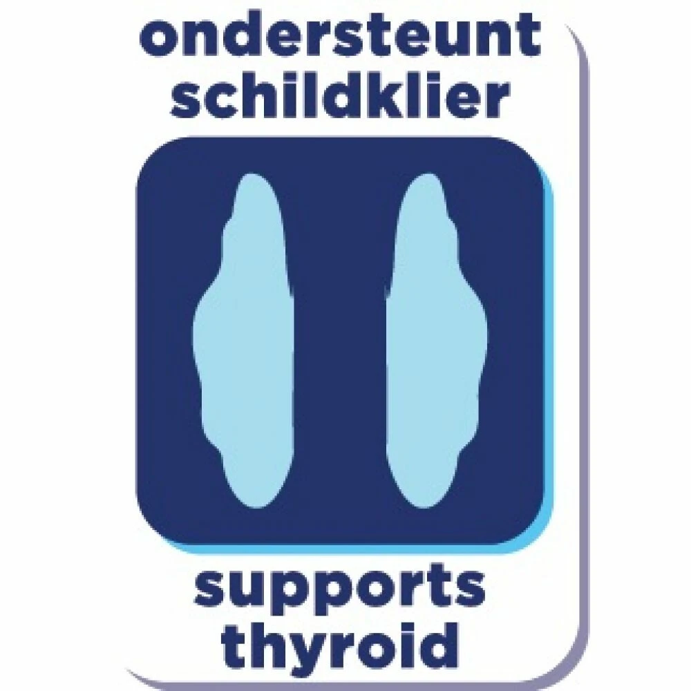 Renske Super Premium Kat Adult Kip 4 Renske Super Premium Kat Adult Kip - Afbeelding 4