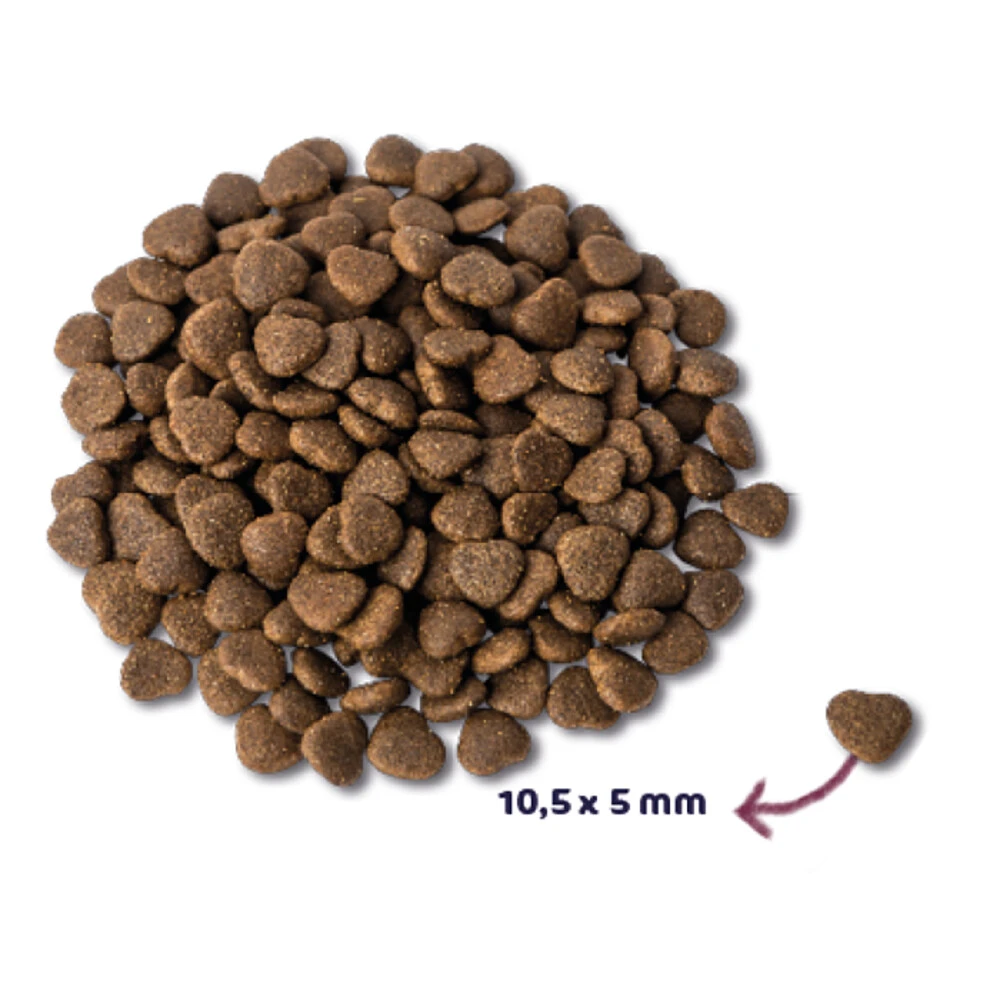 Renske Super Premium Kat Adult Zalm 2 Renske Super Premium Kat Adult Zalm - Afbeelding 2