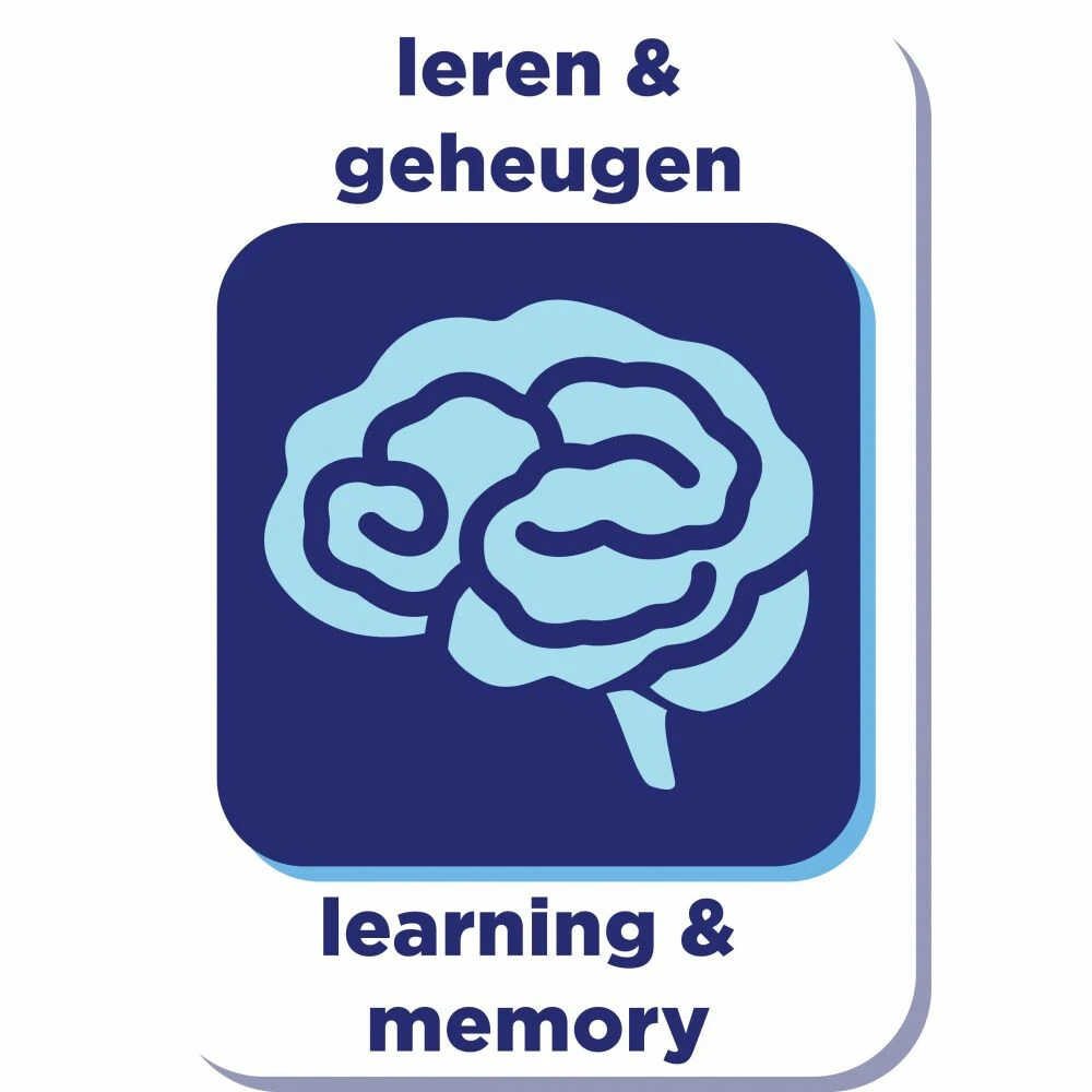 8x Renske Super Premium Droog Kat Kitten Kalkoen & Kip 2 8x Renske Super Premium Droog Kat Kitten Kalkoen & Kip - Afbeelding 2