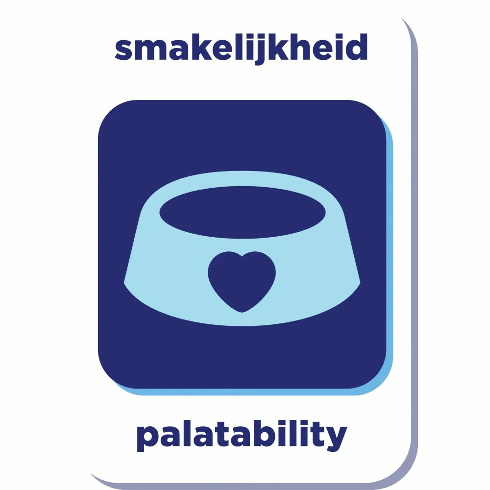 8x Renske Super Premium Droog Kat Kitten Kalkoen & Kip 4 8x Renske Super Premium Droog Kat Kitten Kalkoen & Kip - Afbeelding 4