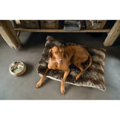 Designed By Lotte Eet- En Drinkbak Mandira 10 Designed By Lotte Eet- En Drinkbak Mandira -Exporteren Dieren Vreugd Winkel 979880 5