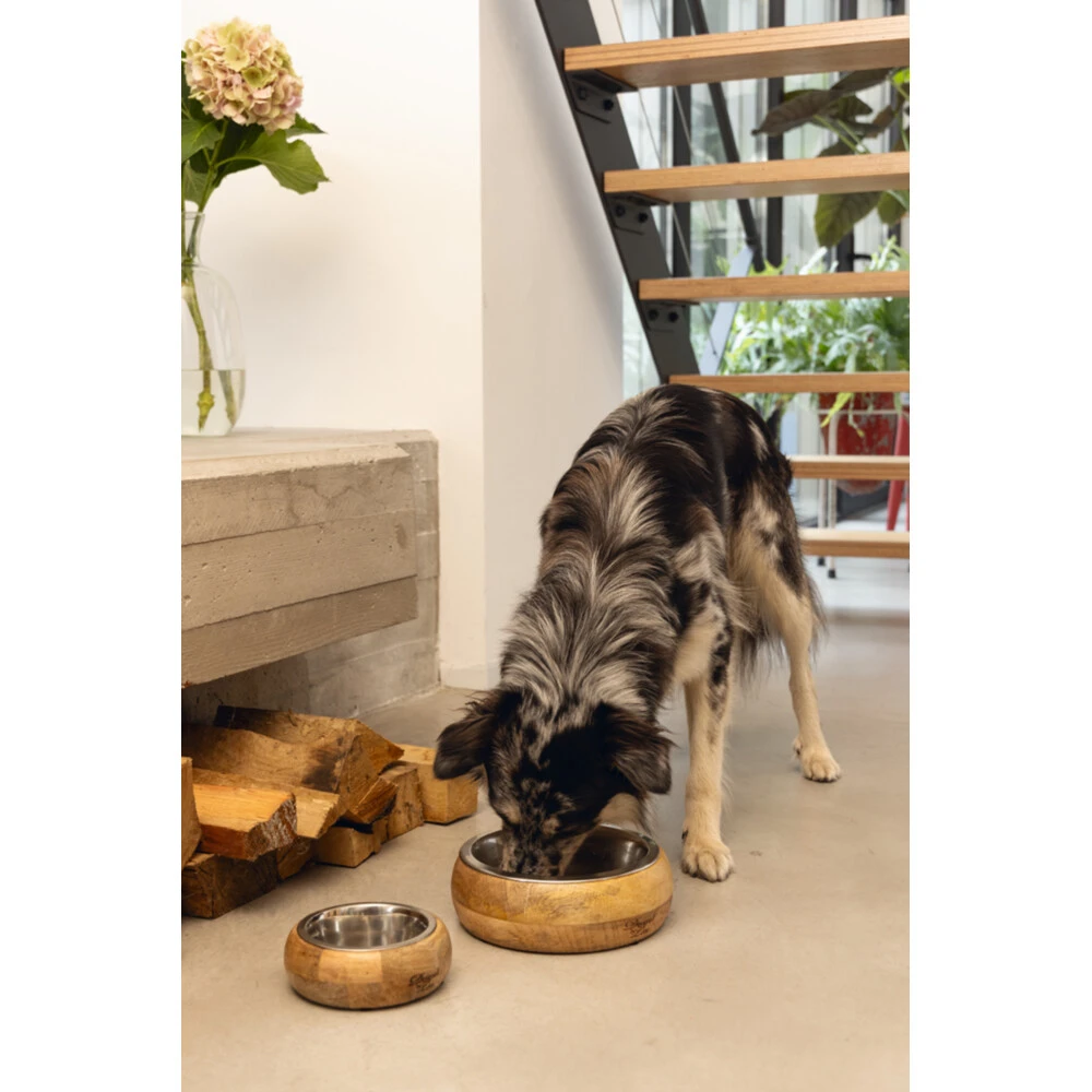 Designed By Lotte Eet- En Drinkbak Mandira 6 Designed By Lotte Eet- En Drinkbak Mandira - Afbeelding 6