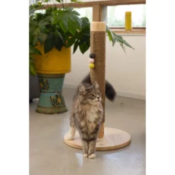 Designed By Lotte Houten Krabpaal Sinora 6 Designed By Lotte Houten Krabpaal Sinora -Exporteren Dieren Vreugd Winkel 979882 3